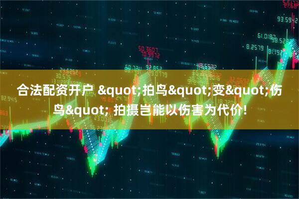 合法配资开户 "拍鸟"变"伤鸟" 拍摄岂能以伤害为代价!