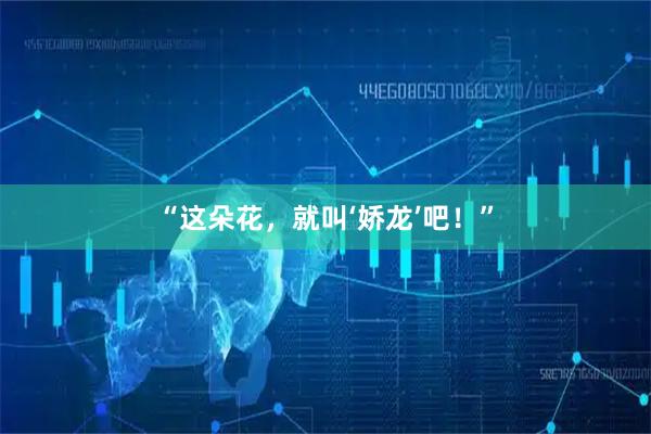 “这朵花，就叫‘娇龙’吧！”