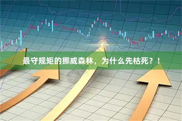 最守规矩的挪威森林，为什么先枯死？！