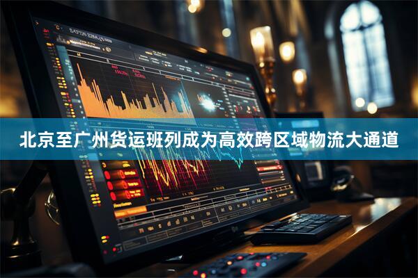 北京至广州货运班列成为高效跨区域物流大通道