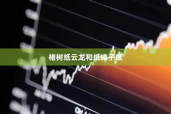 楮树纸云龙和纸樟子纸