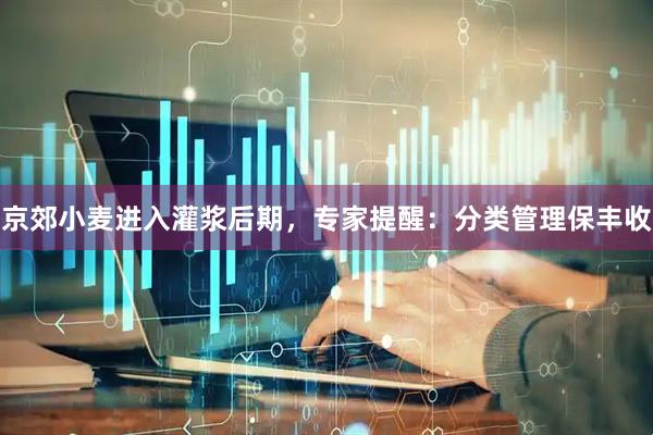 京郊小麦进入灌浆后期，专家提醒：分类管理保丰收