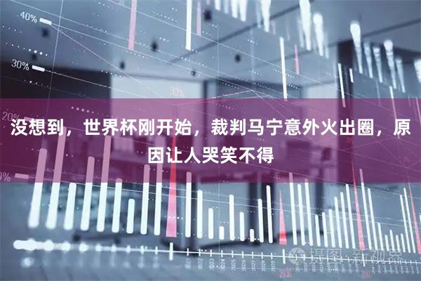 没想到，世界杯刚开始，裁判马宁意外火出圈，原因让人哭笑不得