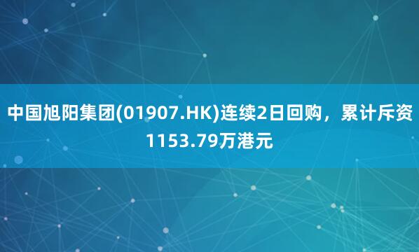 中国旭阳集团(01907.HK)连续2日回购，累计斥资1153.79万港元